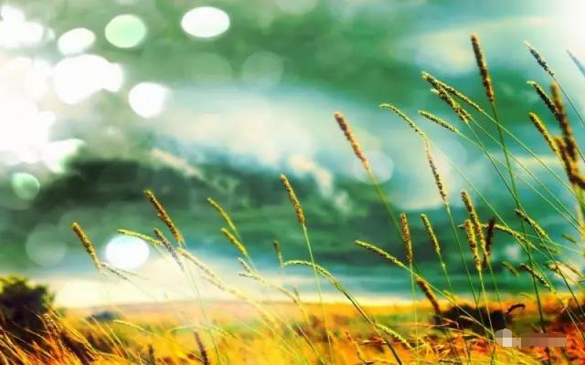 1499581466746763.jpg 22_看图王.jpg