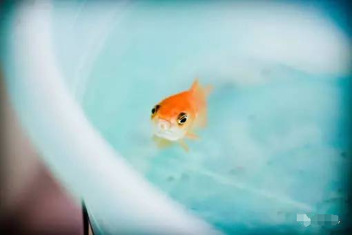 1499581907729950.jpg 23_看图王.jpg