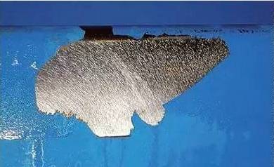 1502864316608963.jpg 2.jpg