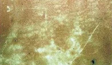 1502864641780864.jpg 6.jpg