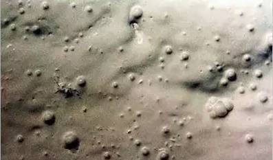 1502864976778942.jpg 8.jpg