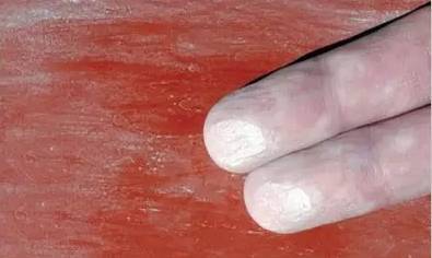 1502865845563605.jpg 10.jpg