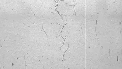 1502865862840263.jpg 11.jpg