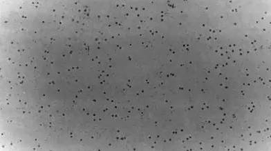 1502866081151798.jpg 12.jpg