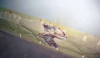 1502866222687662.jpg 14.jpg