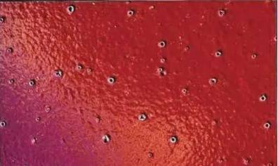 1502866281301287.jpg 15.jpg