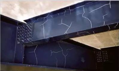 1502866401448946.jpg 16.jpg