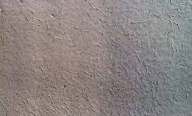 1502866421320469.jpg 17.jpg