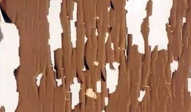 1502866686665331.jpg 20.jpg