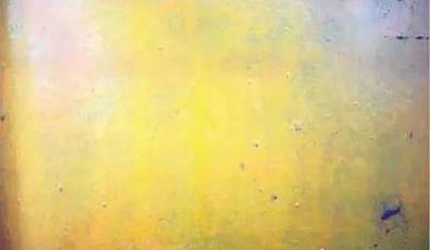 1502866961542286.jpg 21.jpg