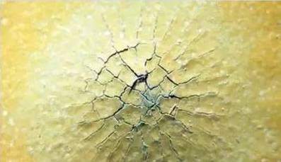 1502867127662699.jpg 23.jpg