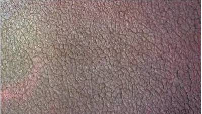 1502867259356539.jpg 25.jpg