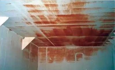 1502868078219693.jpg 31.jpg