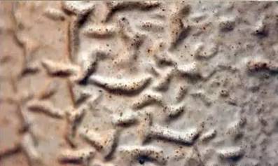 1502868509952472.jpg 37.jpg