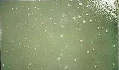 1502868532602950.jpg 38.jpg