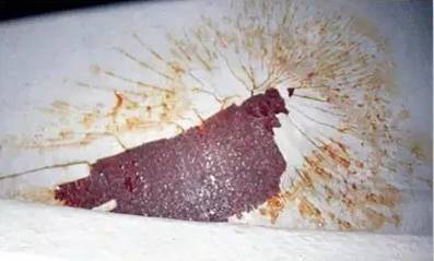 1502868703246436.jpg 40.jpg