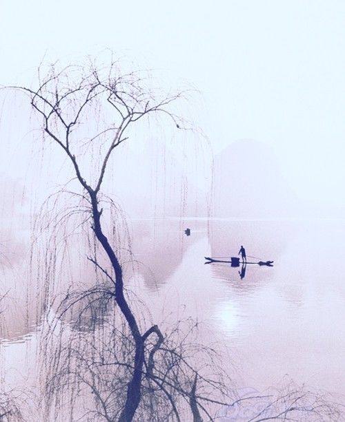 1512545495172152.jpg 1.jpg