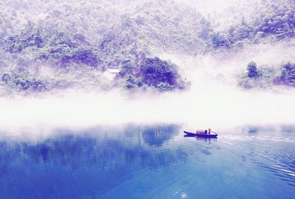 1512545515105364.jpg 3.jpg